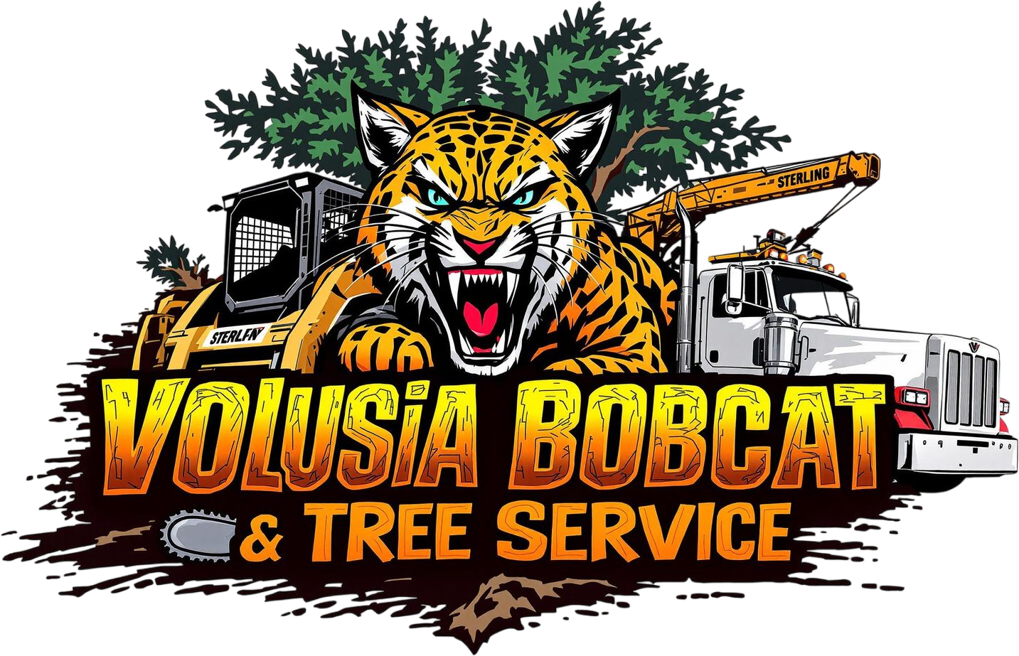 Apopka Tree Service | Budget Tree Service